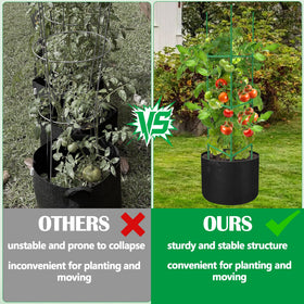 DECOHS steel-core plastic-coated cage delivers durable plant support.