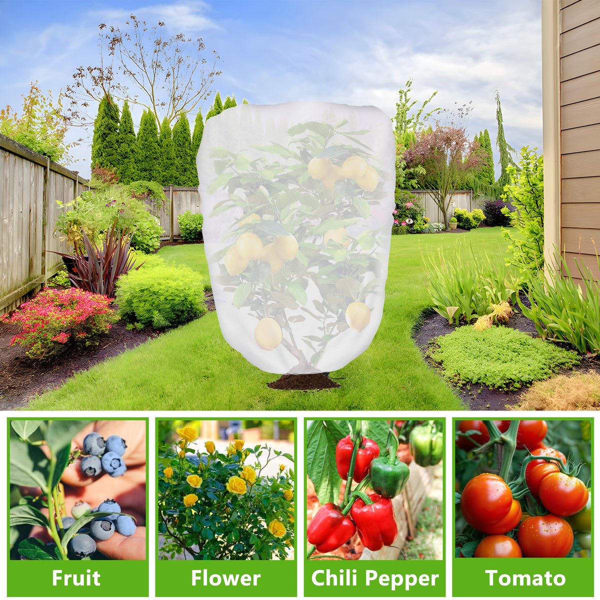 DECOHS sun protection for plants reduces heat while preserving light