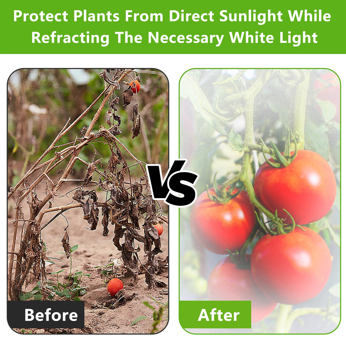 DECOHS white light refraction shade provides balanced daylight for growth