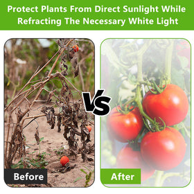 DECOHS white light refraction shade provides balanced daylight for growth