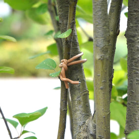 Decoroca plant ties with rubber coating safe for plants during tying
