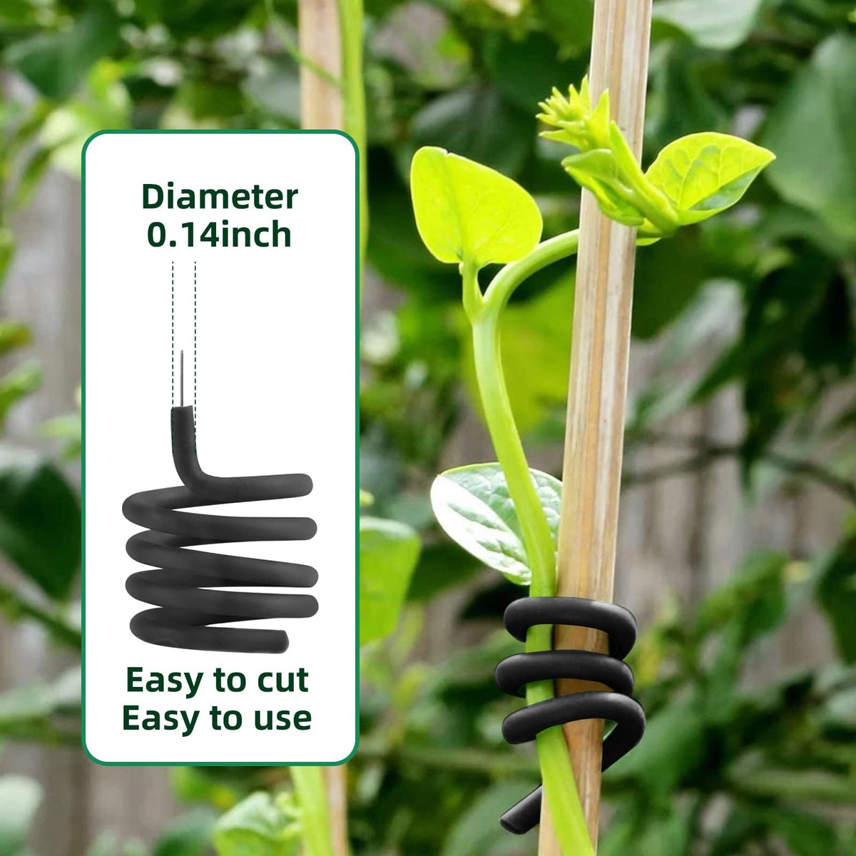 Decoroca ties wrapped around a stem providing gentle support