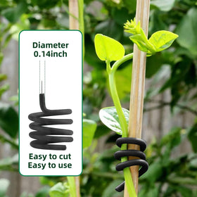 Decoroca ties wrapped around a stem providing gentle support