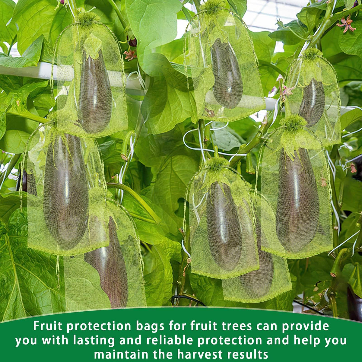 DECYOOL bird-and-small-animal protection bag guards ripe fruit.