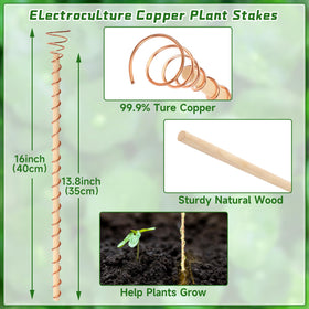DECYOOL copper garden stake set 8 pack supports multiple plants and vigor.