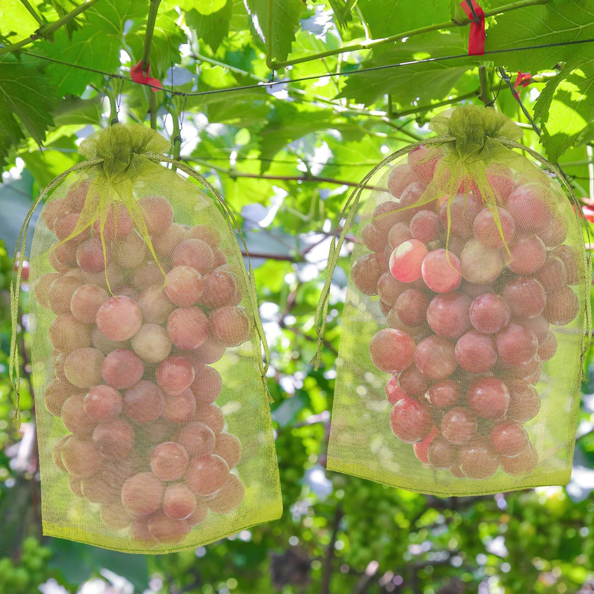 DECYOOL 60-piece collection provides coverage for many fruits.