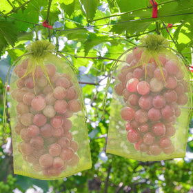 DECYOOL 60-piece collection provides coverage for many fruits.