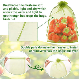 DECYOOL bags on a tree shield fruit from birds while allowing light.
