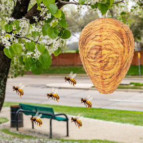 DECYOOL orange paper wasp nest decoy near garbage to protect food areas