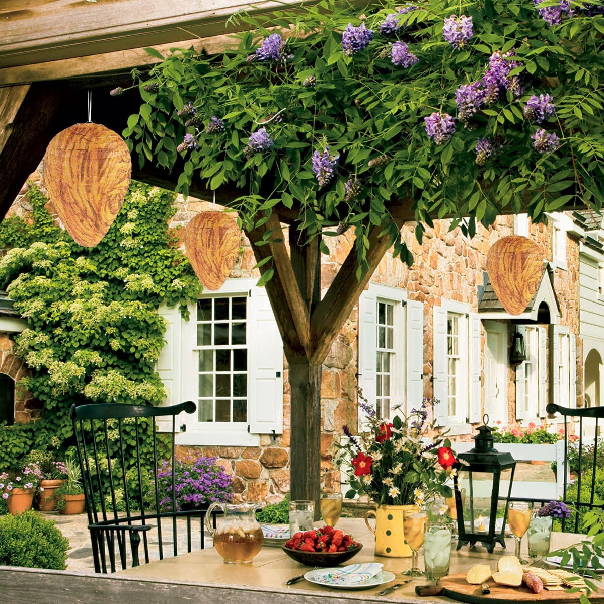 DECYOOL orange paper wasp nest in trees supports yard defense