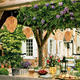 DECYOOL orange paper wasp nest in trees supports yard defense