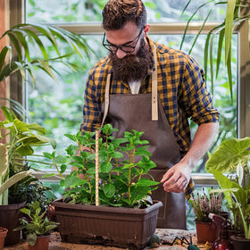 DECYOOL energy-stake for indoor and outdoor plants, versatile across setups.
