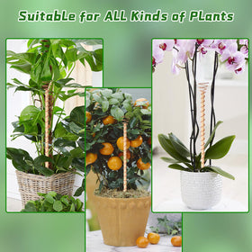 DECYOOL pure copper wire stake with wooden pole provides durable garden support.