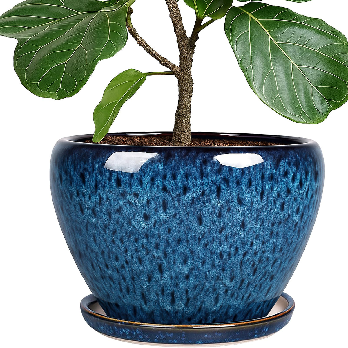 Deep Dream 10-inch ceramic blue plant pot with round silhouette for indoor display