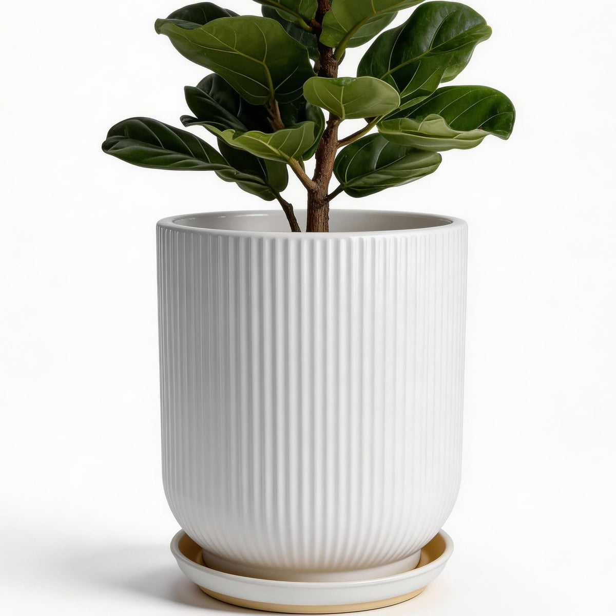 Deep Dream 10 inch ceramic pot with striped glaze for elegant indoor display.