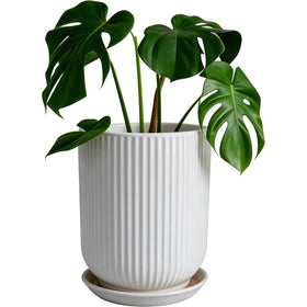 Deep Dream 8-inch ceramic pot with vertical stripe glaze for stylish décor