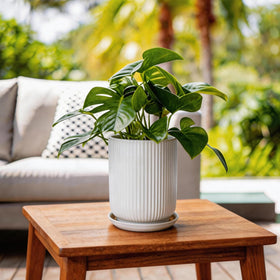 Deep Dream heavy sturdy ceramic pot suitable for indoor and outdoor use