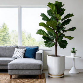 Deep Dream heavy ceramic pot stays sturdy indoors or outdoors.