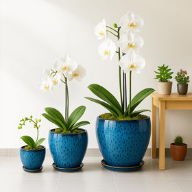Deep Dream round plant pot with tray for spill-free watering