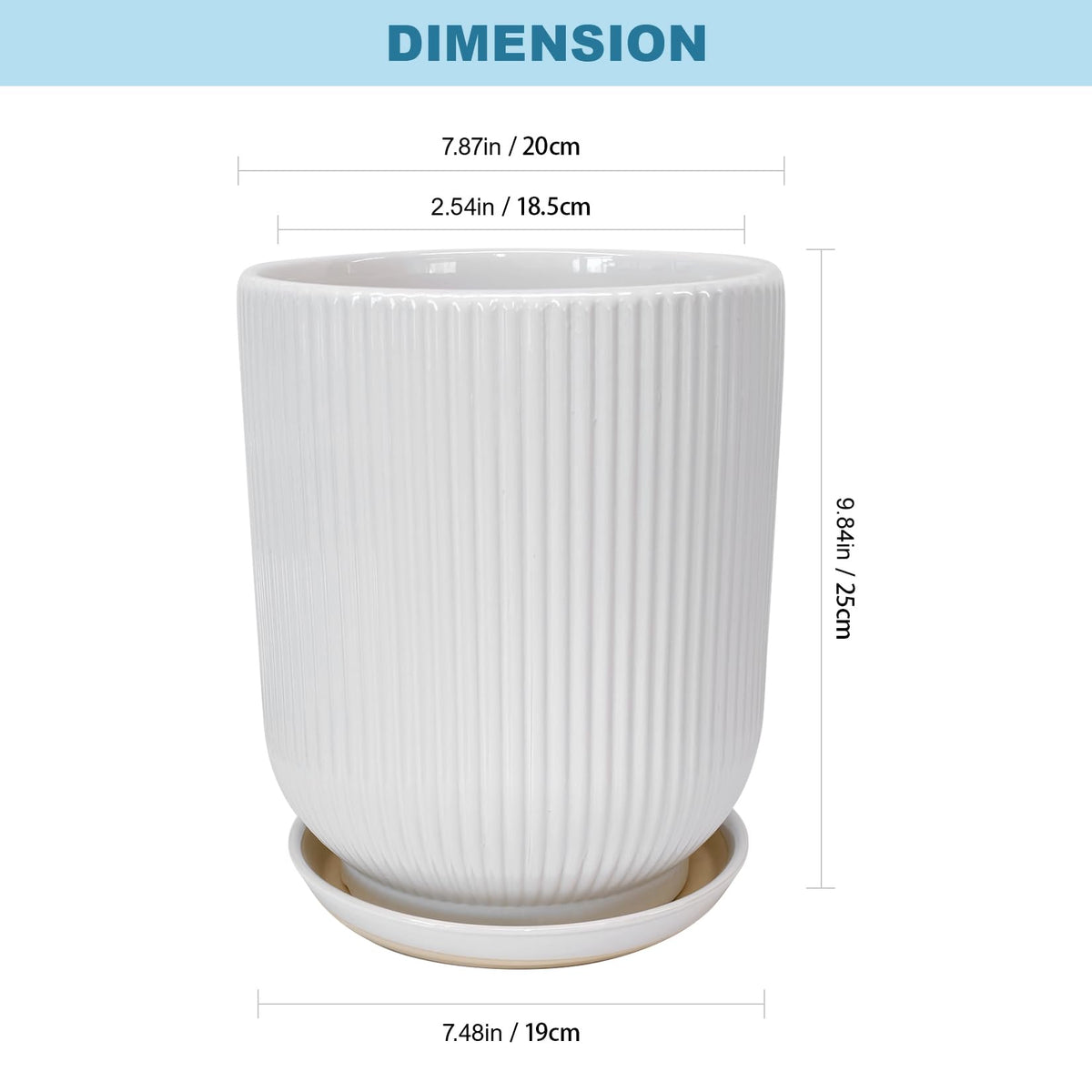 Deep Dream tall 8-inch planter measures 10 inches high for dramatic plant displays