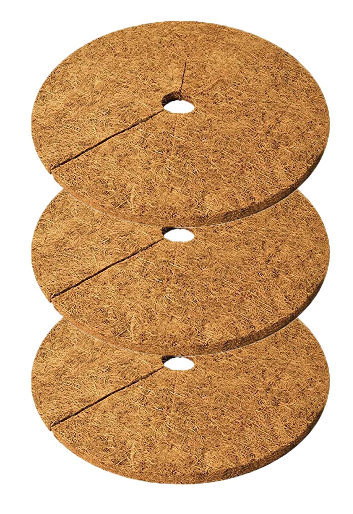 Deepthi 24 inch coco coir mulch disc in natural fiber texture used around a sapling