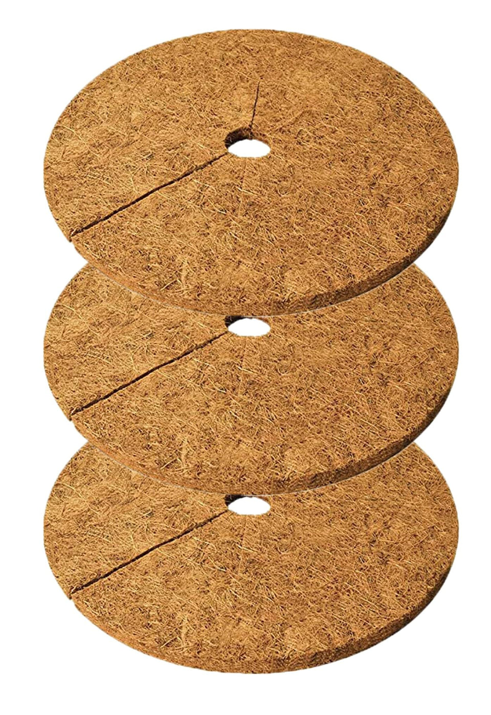 Deepthi 24 inch coco coir mulch disc in natural fiber texture used around a sapling