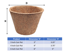 Deepthi coir pots used in a greenhouse setup promoting airflow and root growth.