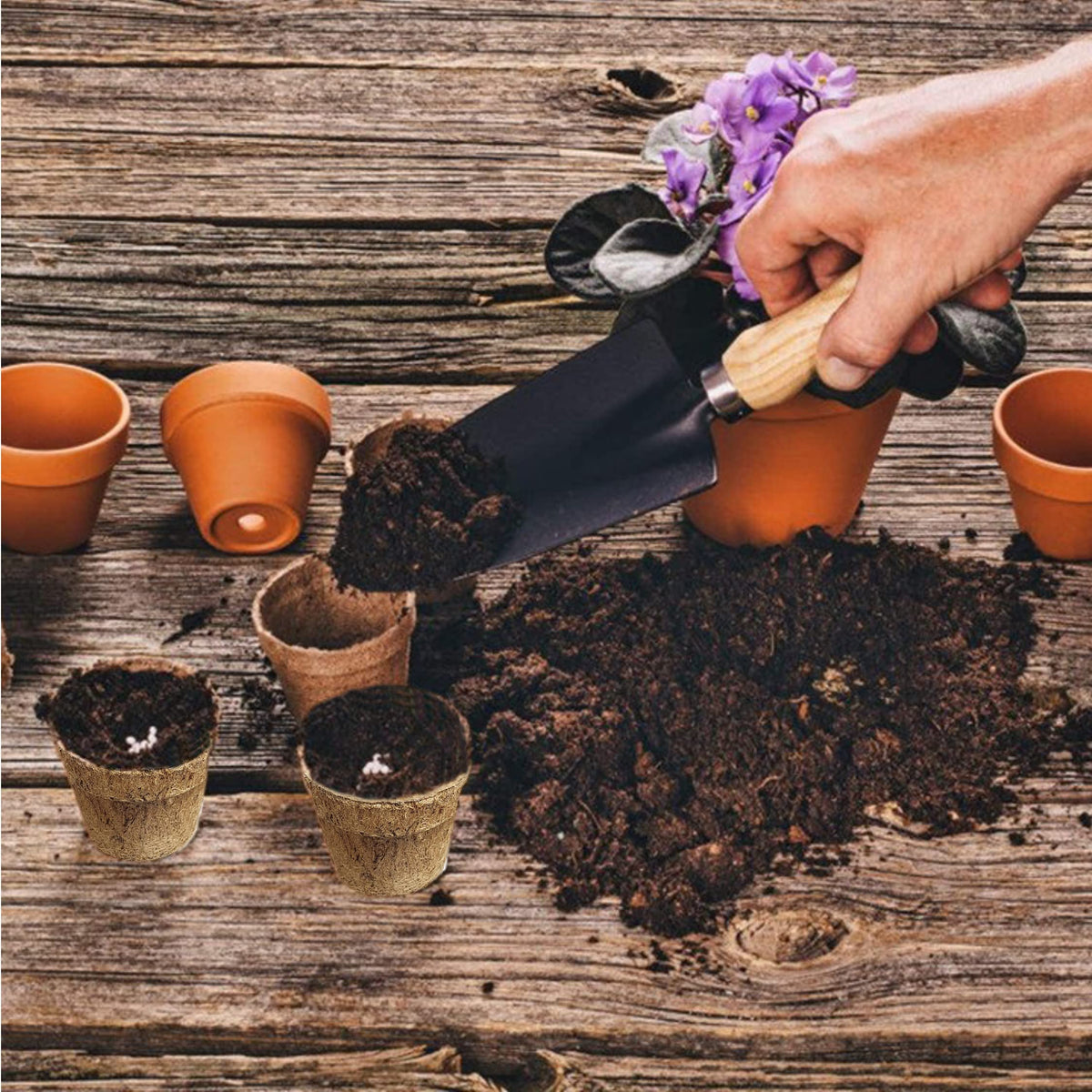 Deepthi eco-friendly coir pots offering a plastic-free option for gardening.