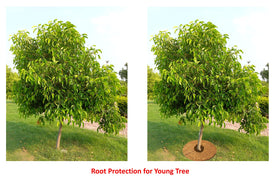 Deepthi coco coir mat aiding moisture retention between waterings