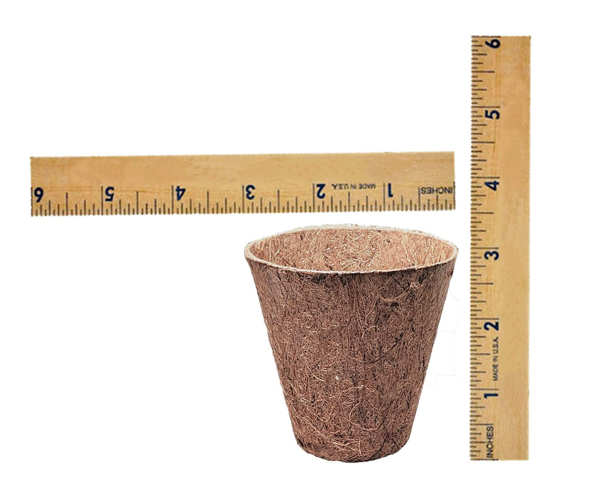 Deepthi pack of 12 coir pots for compact, mess-free indoor seed starting.