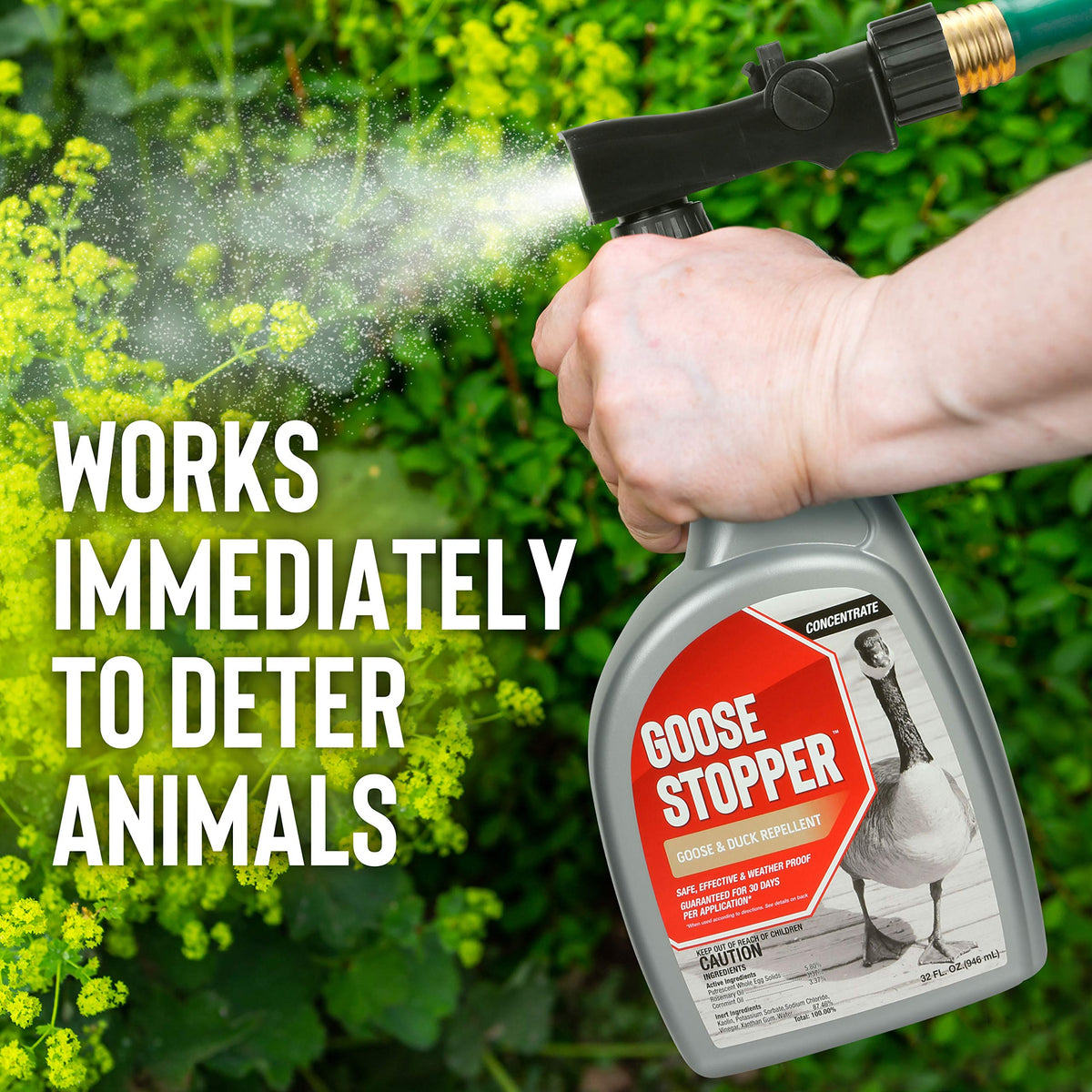 Spray application of Goose Stopper creating a fine mist over yard edges