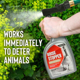 Spray application of Goose Stopper creating a fine mist over yard edges