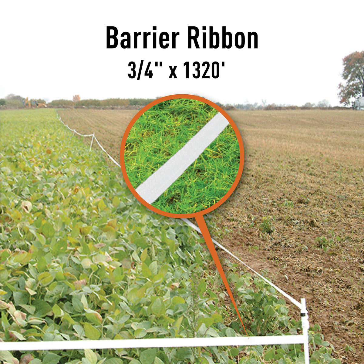 Messina RBW132 white ribbon dries clear for discreet plot protection.