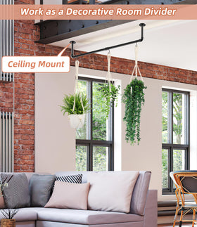 DegMongee all-in-one kit enables easy window or wall plant display