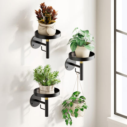 DELLAN wall plant holder 3-pack mounted for space-saving vertical greenery.