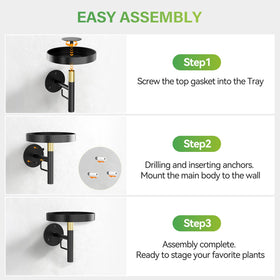 DELLAN wall plant holder BlackGold finish adds modern style.