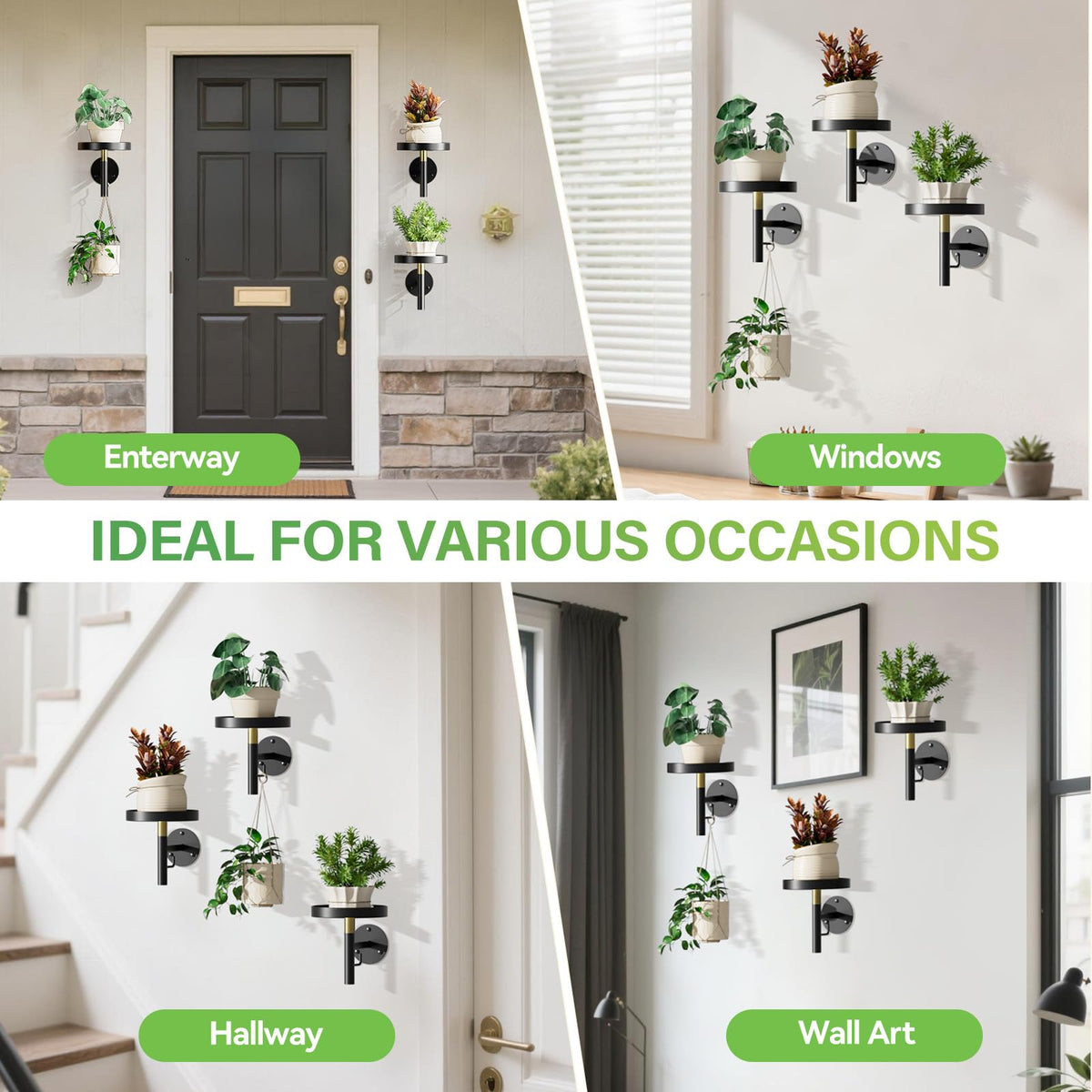 DELLAN wall plant holder design emphasizing space-saving decor.