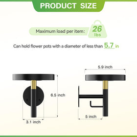 DELLAN wall plant holder metal frame close-up showing sturdy construction.