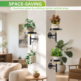 DELLAN wall plant holder sturdy bracket supports up to 6 kg.