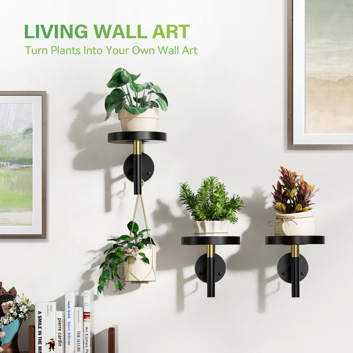 DELLAN wall plant holder window placement by window for sunlight access.