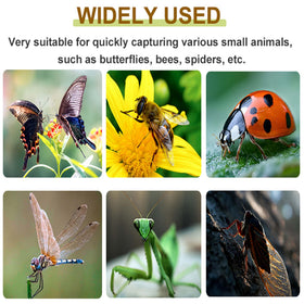 DelloidMaz child-friendly educational tool for home, classroom, or garden adventures
