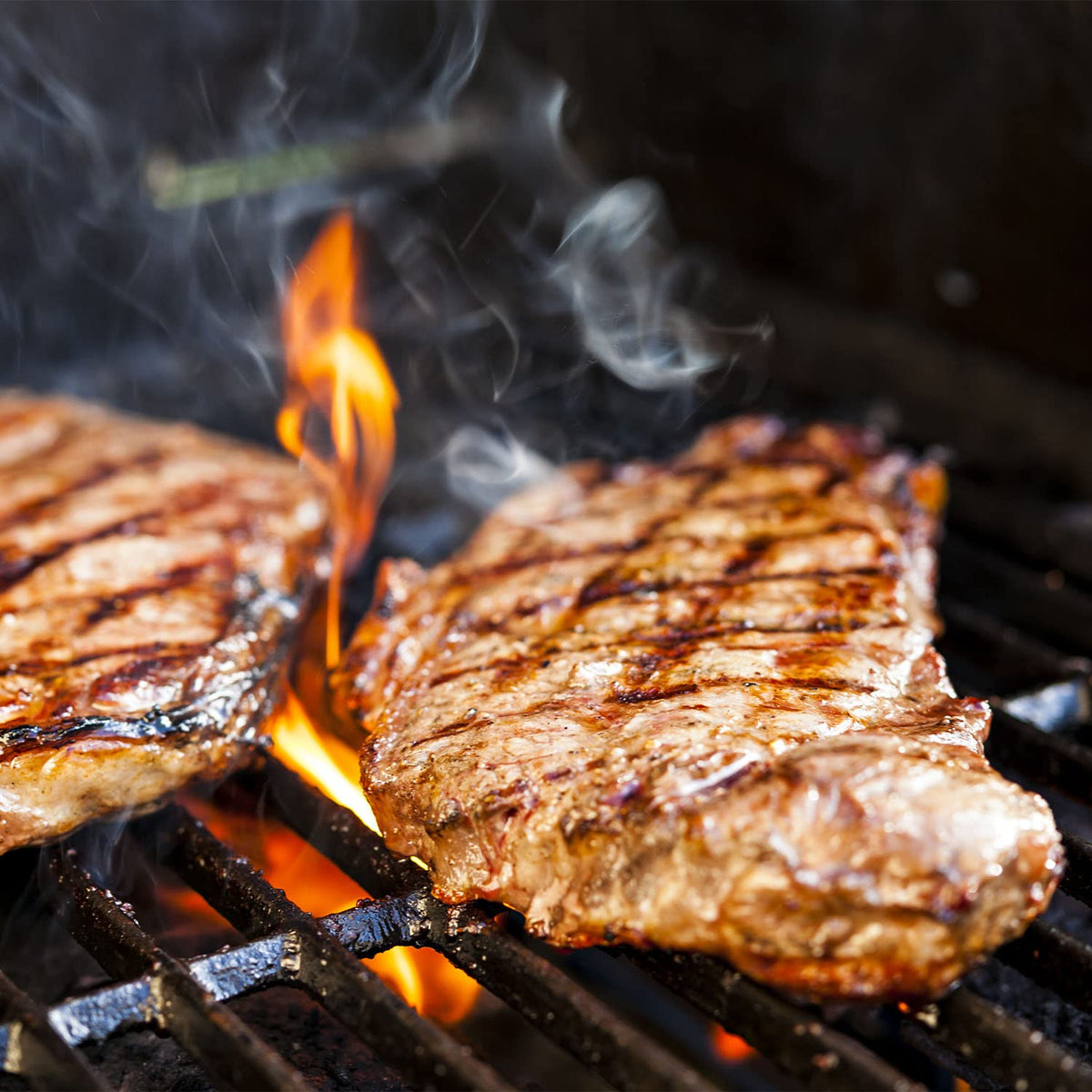 DELSbbq grill grate displaying sear pattern and browning potential