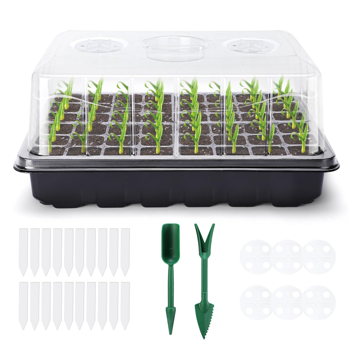 Delxo 3-pack seed starter tray with 144 cells for scalable indoor gardening.