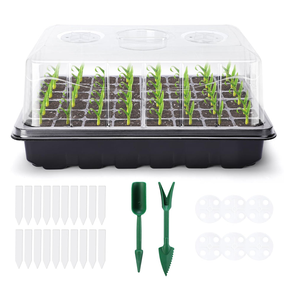 Delxo 3-pack seed starter tray with 144 cells for scalable indoor gardening.