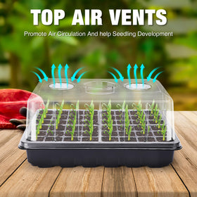 Delxo deep 2.1-inch cell tray supports robust root growth.