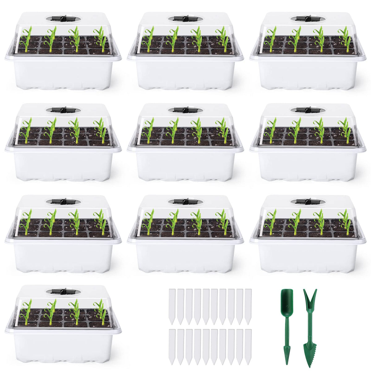 Delxo seed starter kit with humidity dome for controlled germination moisture.