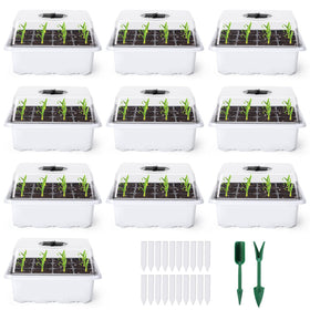 Delxo seed starter kit with humidity dome for controlled germination moisture.