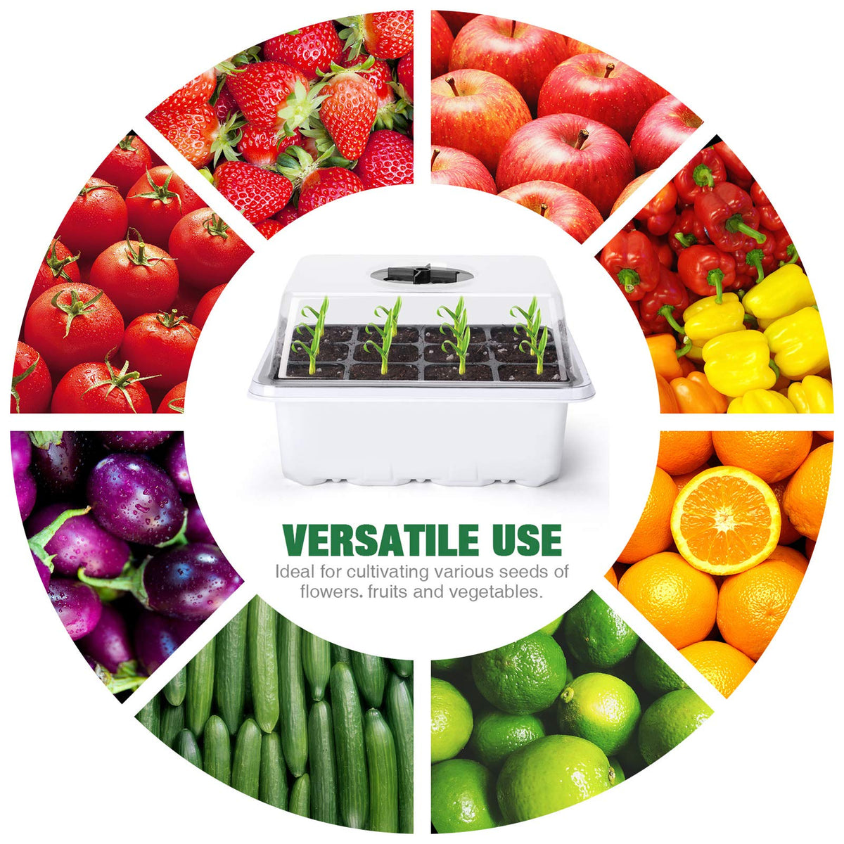 Delxo reusable seedling trays and tools designed for multi-season use.