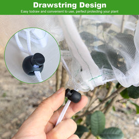 Demlox easy-setup plant protection netting shields plants without blocking light.