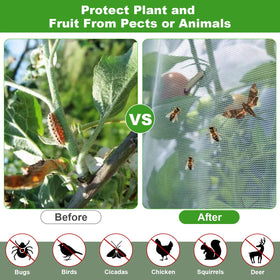Demlox garden netting protects vegetables, berries, and shrubs in gardens.